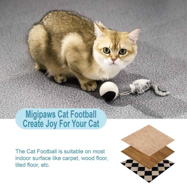 Cat Ball, Let your cat chase to your heart's content - Image 9