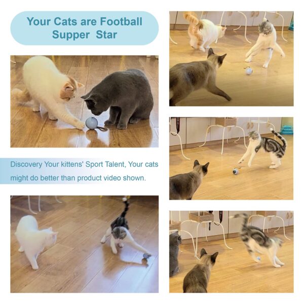 Cat Ball, Let your cat chase to your heart's content - Image 10
