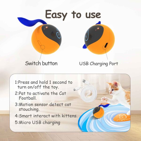 Cat Ball (with fun tracker), Cats prefer prey that they can't look at directly because they are more - Image 5