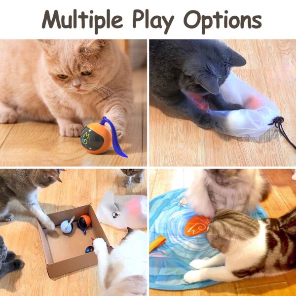 Cat Ball (with fun tracker), Cats prefer prey that they can't look at directly because they are more - Image 8