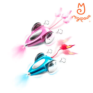 Mouse car, A fast trolley that can be moved in both front and back