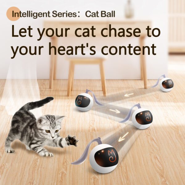 Cat Ball, Let your cat chase to your heart's content - Image 2