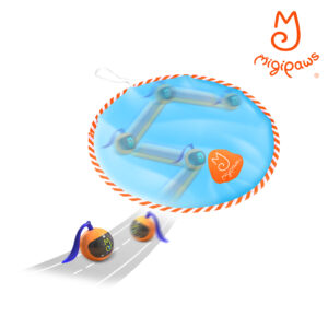 Cat Ball (with fun tracker), Cats prefer prey that they can't look at directly because they are more