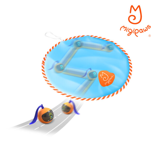 Cat Ball (with fun tracker), Cats prefer prey that they can't look at directly because they are more
