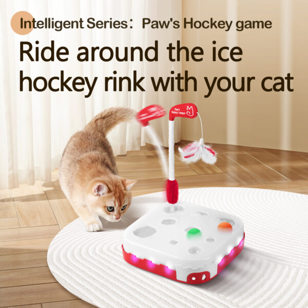 Paw's Hockey game, Ride around the ice hockey rink with your cat - Image 2