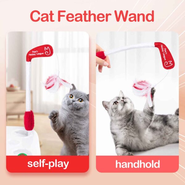 Paw's Hockey game, Ride around the ice hockey rink with your cat - Image 4